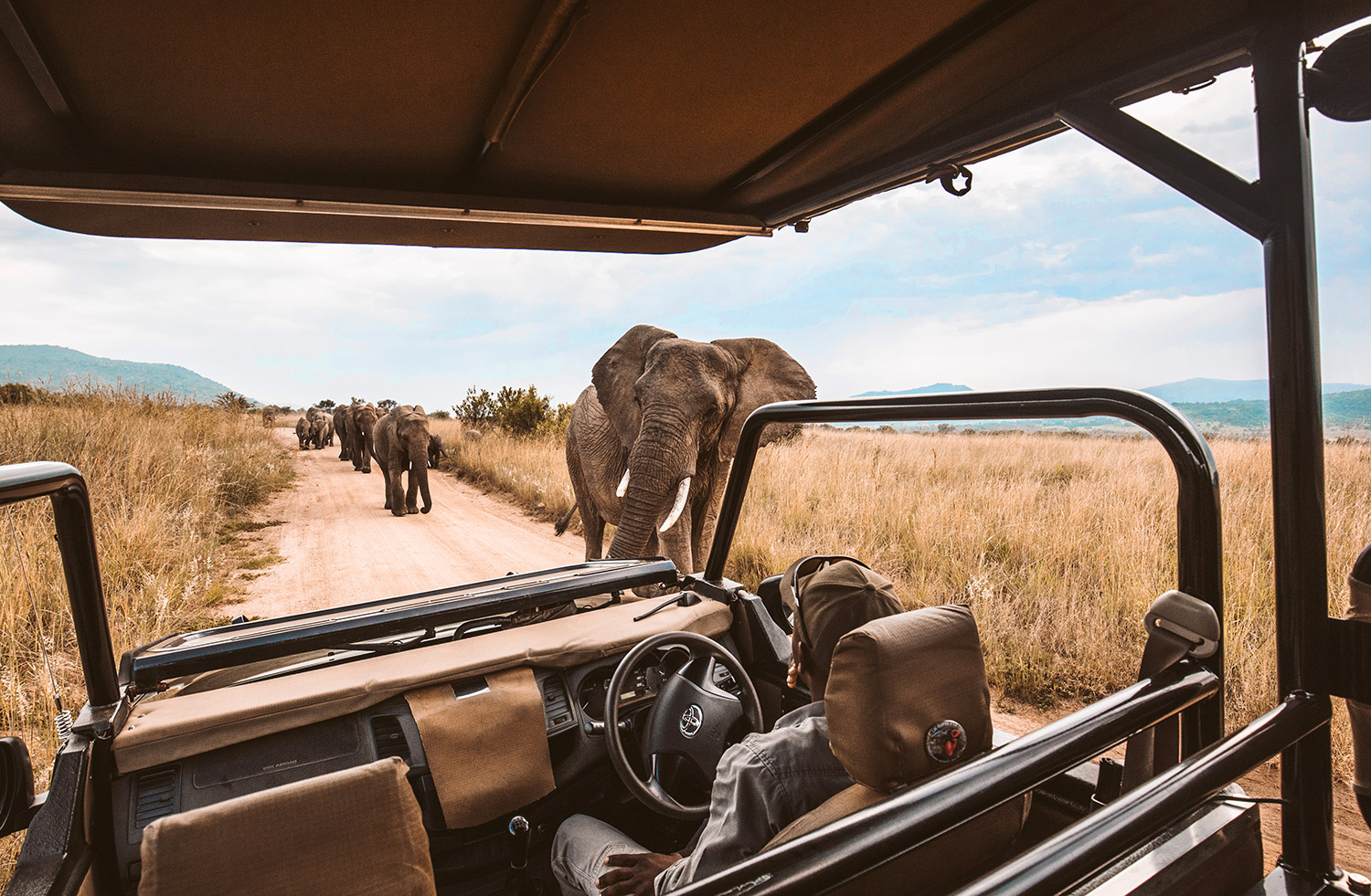 Luxury Travel Adventures African Safari