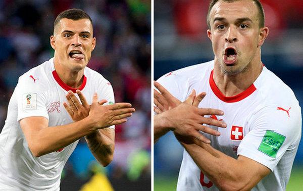 sikkim state lotteries dear zeal evening sunday weekly lottery icon