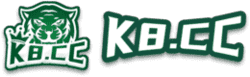online ludo kaise khele icon